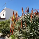 Florida شقة سان ميغيل ذي أبونا