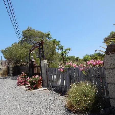 Florida * San Miguel de Abona