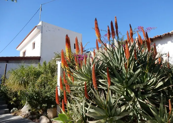 Florida Apartment San Miguel de Abona