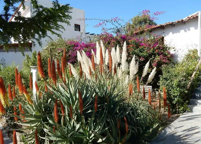 Florida San Miguel de Abona