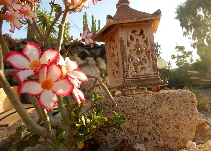 Appartamento Florida *