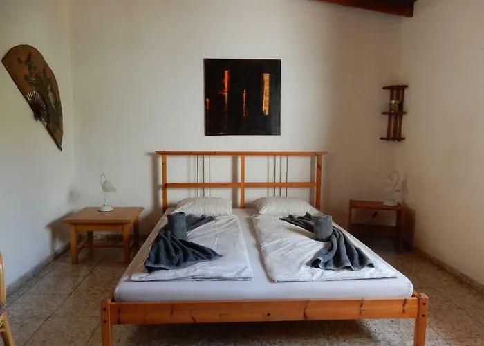 Florida San Miguel de Abona