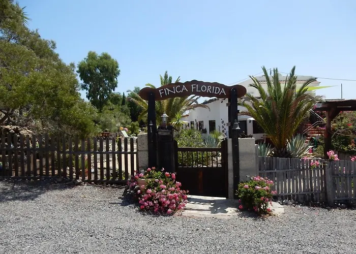 Florida * San Miguel de Abona