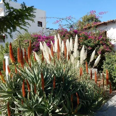 Florida San Miguel de Abona