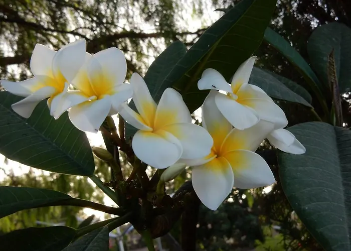 Florida Appartamento *