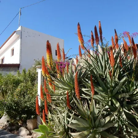 Florida Apartment San Miguel de Abona